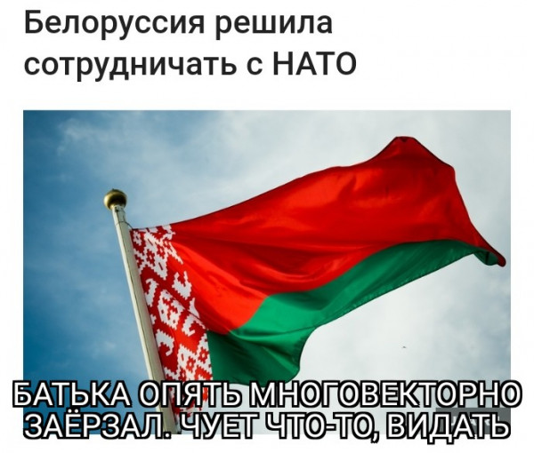 Мем, птица