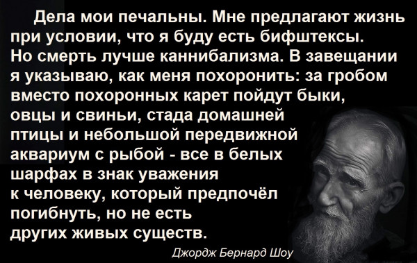 Мем, Александр САН