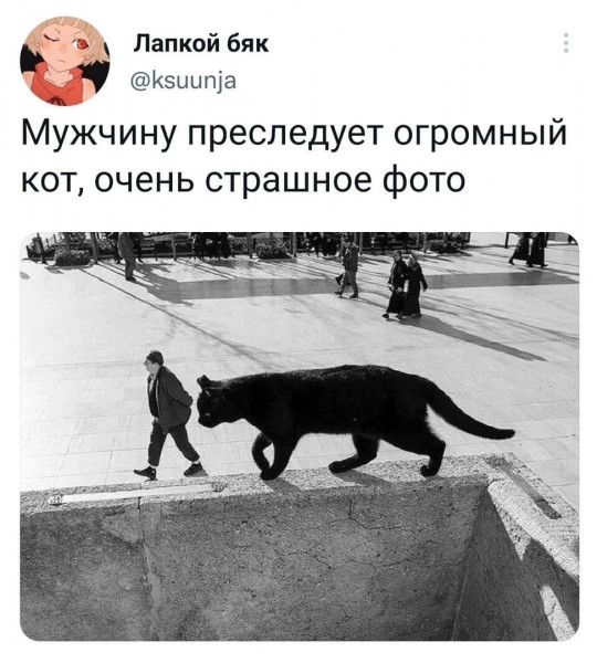 Мем, Кот Отморозкин