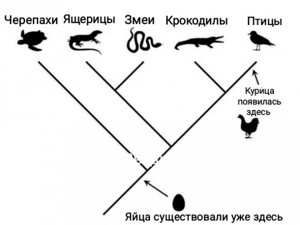 Мем, Рысь