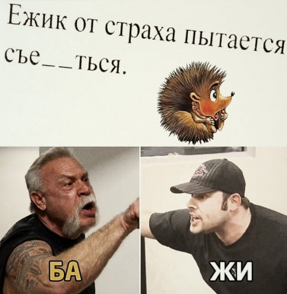 Мем, Брюттон