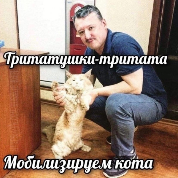 Мем, Кот Отморозкин