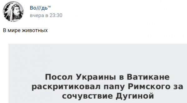 Мем, Черная Молния