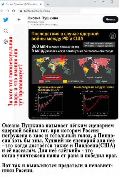 Мем: Оксана Пушкина стала военным экспертом и топит за победу империи лжи США, Зильберман