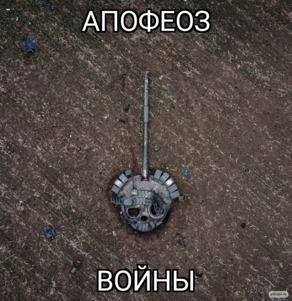 Мем, птица