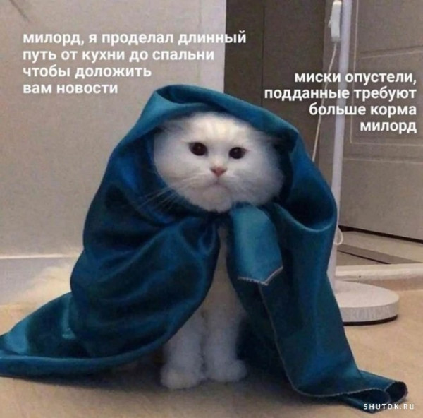 Мем, Джокер