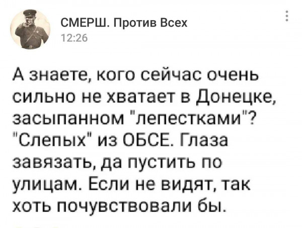 Мем: Слепые из ОБСЕ