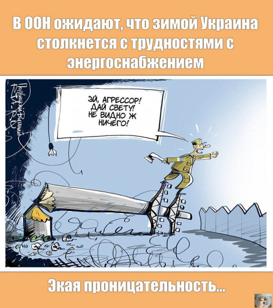 Мем, Собачка с Абажуром