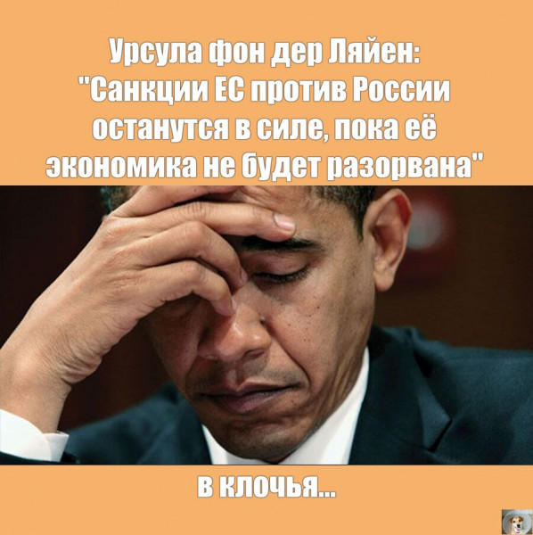 Мем, Собачка с Абажуром