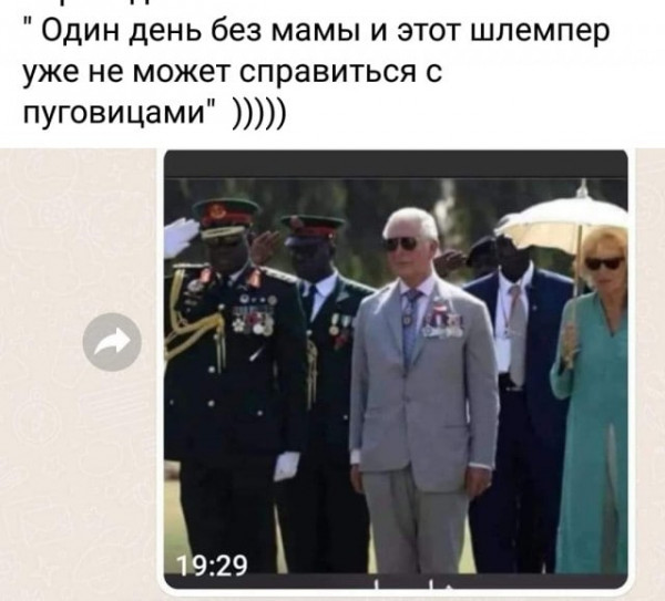 Мем, Собачка с Абажуром