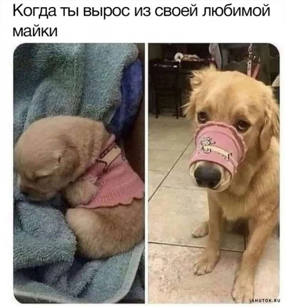 Мем, Джокер