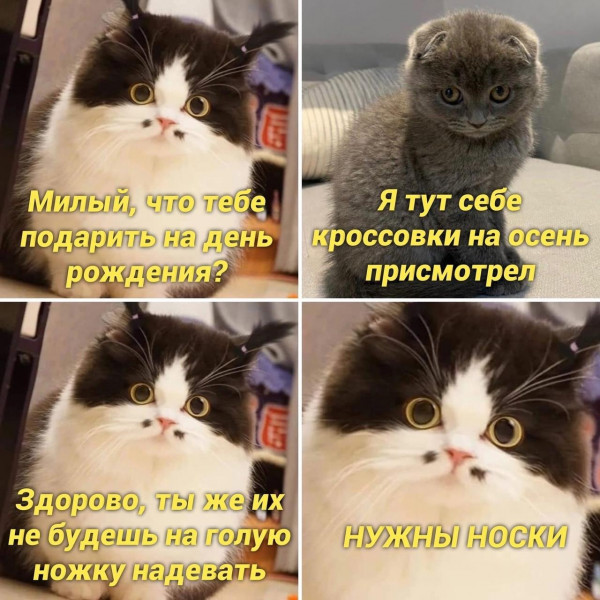 Мем