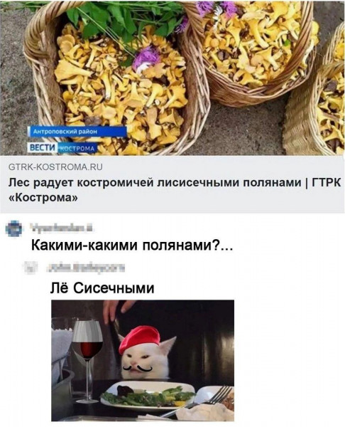 Мем