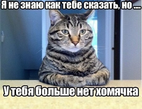 Мем: Суровая правда жизни, Аскольд Алебастров