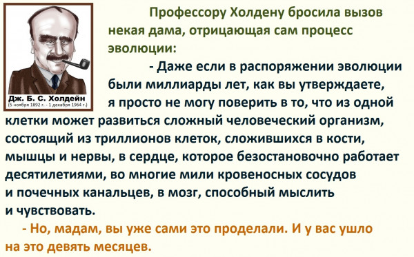 Мем, Александр САН