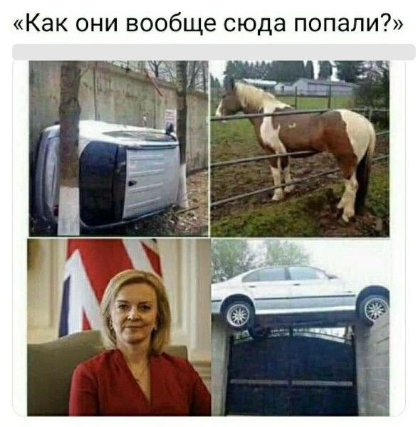 Мем, Юрий Небольсин