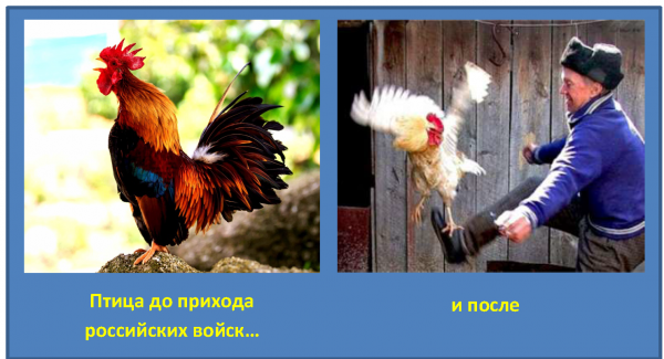 Мем: Птица до прихода российских войск и после, ТипЦ