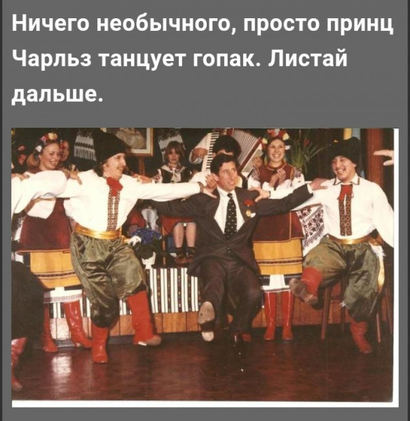 Мем, птица