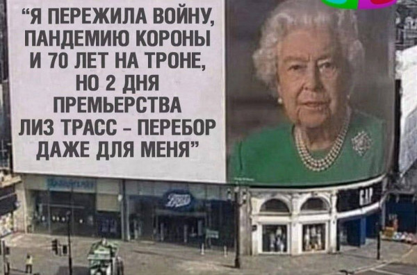 Мем, Собачка с Абажуром