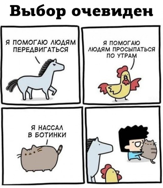 Мем, Кот Отморозкин