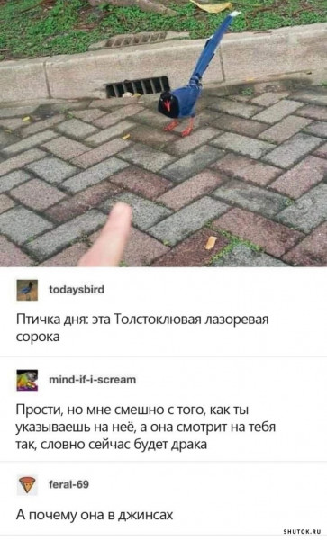 Мем, Джокер