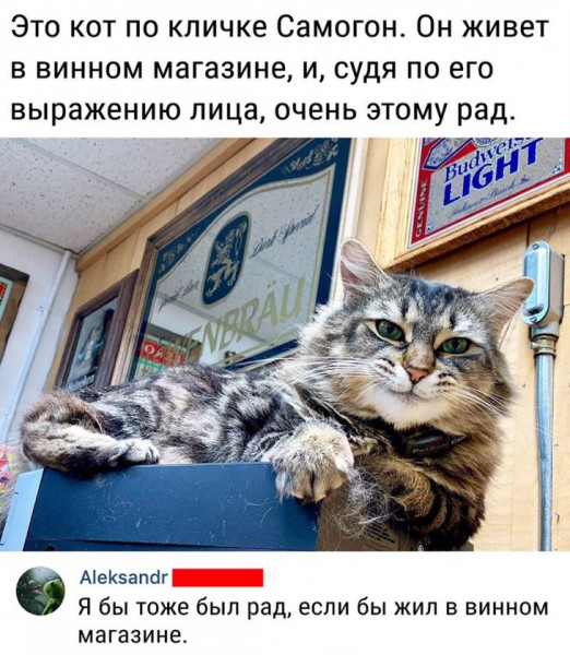 Мем, ReLaX