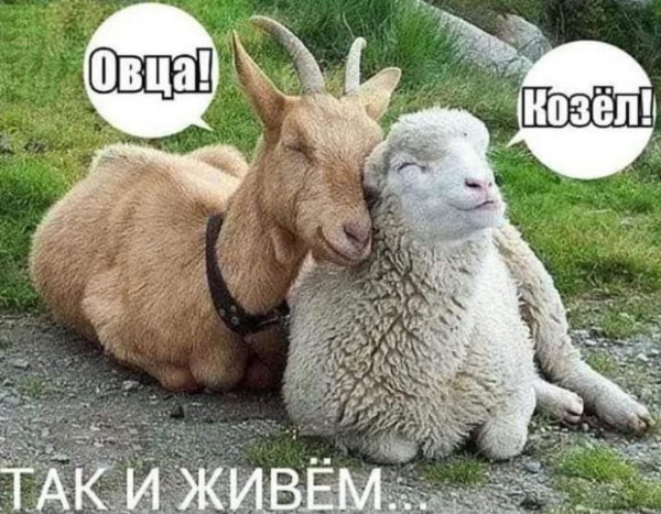 Мем: Семейная идиллия, acorn2007