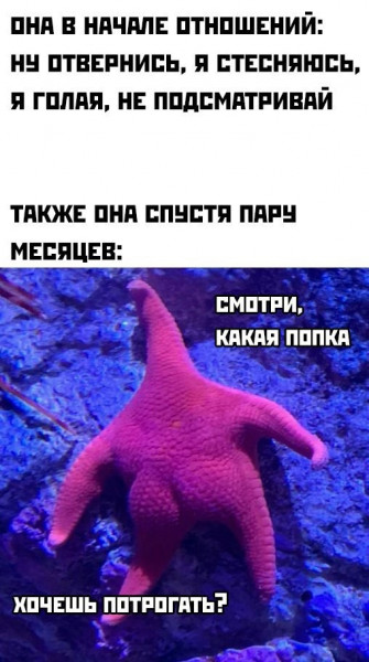 Мем, Брюттон