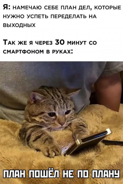 Мем, Брюттон