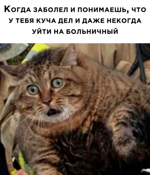 Мем, beauty_foo_ll