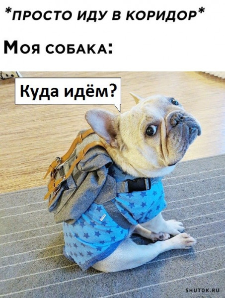 Мем, Джокер