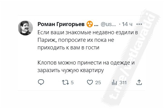 Мем: И по ночам горит твоя свеча, когда клопов ты давишь сгоряча…, Максим Камерер