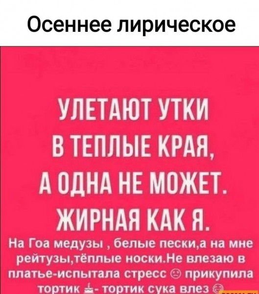 Мем, Брюттон