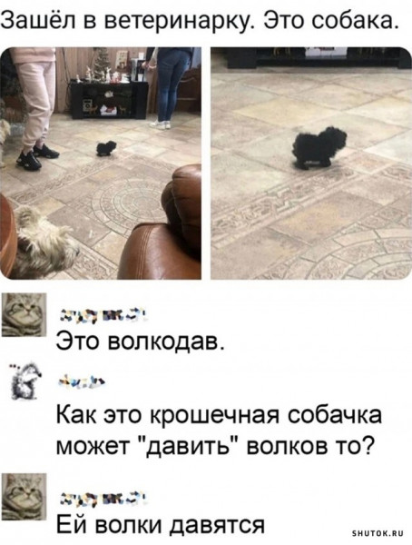 Мем, Джокер