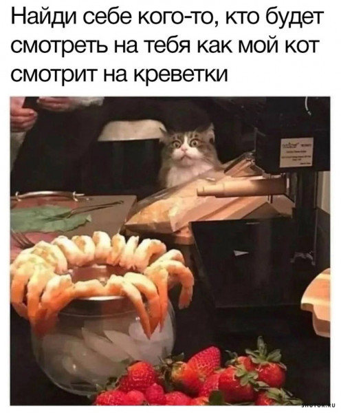 Мем, Джокер