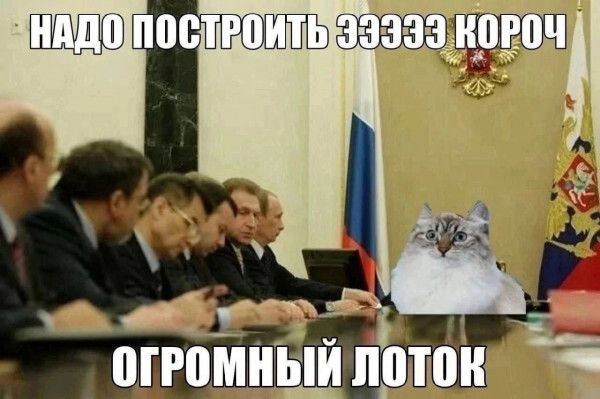 Мем, Фанат Лукьяновой