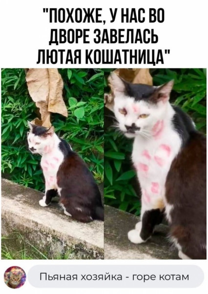 Мем, Брюттон