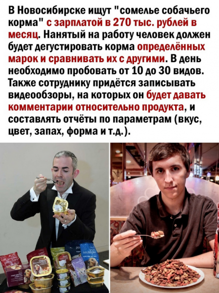 Мем: Вакансия мечты: новосибирцам предложили дегустировать собачий корм, Ymir