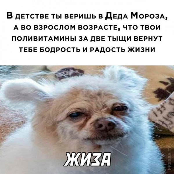 Мем, Брюттон