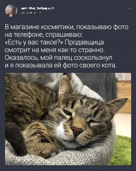Мем, Брюттон