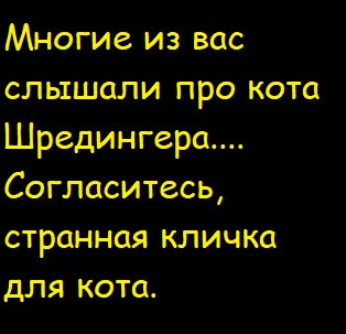 Мем, Лис Интересный