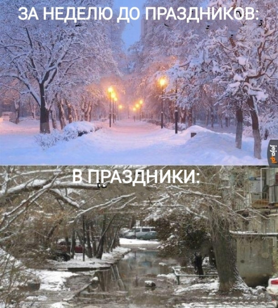 Мем, Рысь