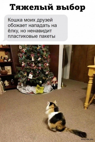 Мем, Джокер