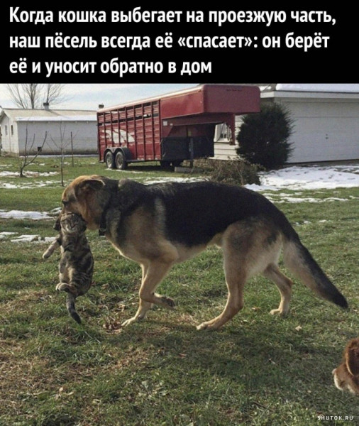 Мем, Джокер