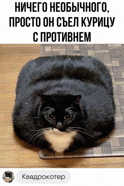Мем, Mghost