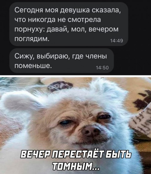 Мем, Брюттон