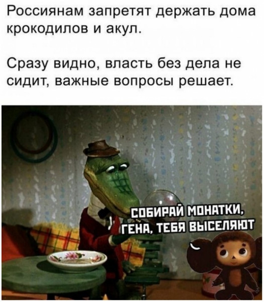 Мем, Брюттон