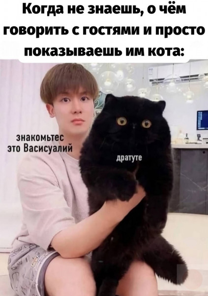Мем: Вежливый кот, счастье в доме, Ymir