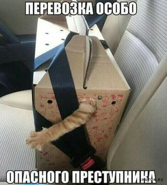 Мем, Джокер