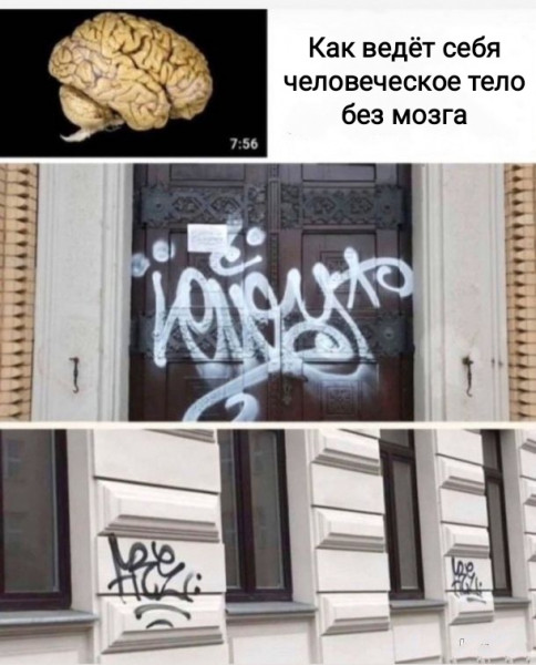 Мем, Рысь